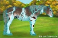 Horse Color:Thunderstruck White Spotted Liver Chestnut Rabicano 