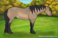 Horse Color:Bay Roan Dun 