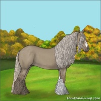 Horse Color:Silver Grullo 