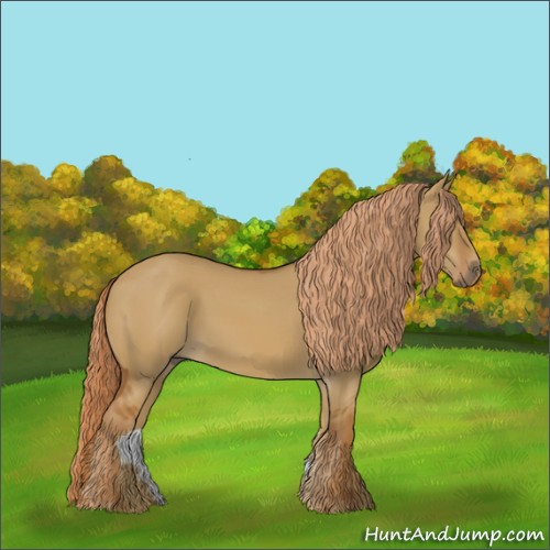 Horse Color:Red Dun 