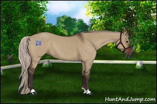 Horse Color:Silver Brown Dun