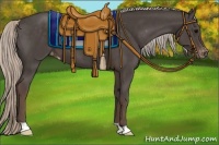 Horse Color:Silver Black Varnish 