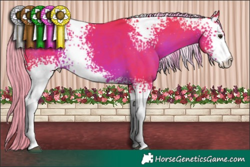 Horse Color:Watercolor White Spotted Liver Chestnut 