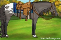 Horse Color:Grullo Appaloosa Rabicano 