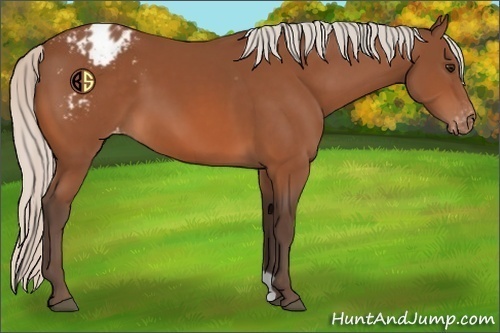 Horse Color:Silver Brown Varnish 