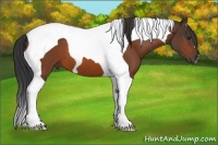 Horse Color:Bay Tobiano 