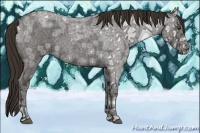 Horse Color:Liver Red Ice Roan 