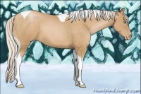 Horse Color:Silver Buckskin Pearl Tobiano 