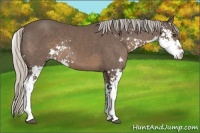 Horse Color:Silver Black Sabino 