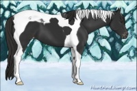 Horse Color:Liver Chestnut Tobiano Varnish 