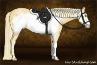 Horse Color:Palomino Ice Frame 
