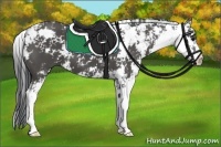 Horse Color:Black Sabino 