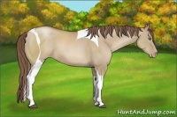 Horse Color:Grullo Pearl Tobiano 