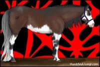 Horse Color:Brown Splash