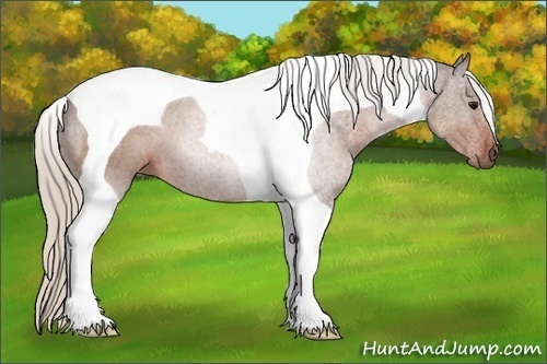 Horse Color:Silver Brown Tobiano 