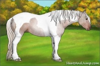 Horse Color:Silver Brown Tobiano