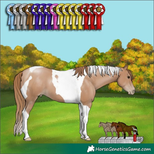 Horse Color:Black Pearl Tobiano 