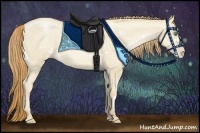 Horse Color:White Spotted Smoky Grullo Pearl