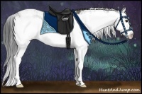 Horse Color:Grullo Sabino Splash 