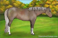 Horse Color:Silver Black Sabino Tobiano 