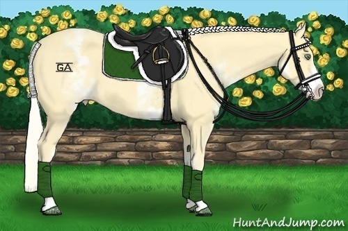 Horse Color:White Spotted Gold Cream Champagne 