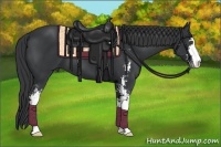 Horse Color:Black Sabino