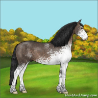 Horse Color:White Spotted Brown Dun