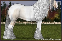 Horse Color:Brown Dun Tobiano