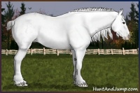 Horse Color:White Spotted Bay Ice Dun
