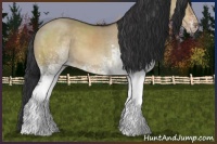 Horse Color:White Spotted Brown Dun 