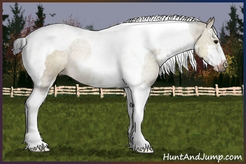 Horse Color:Brown Dun Sabino Tobiano