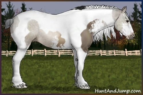 Horse Color:Brown Dun Sabino Tobiano