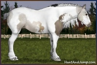 Horse Color:Brown Dun Sabino Tobiano 