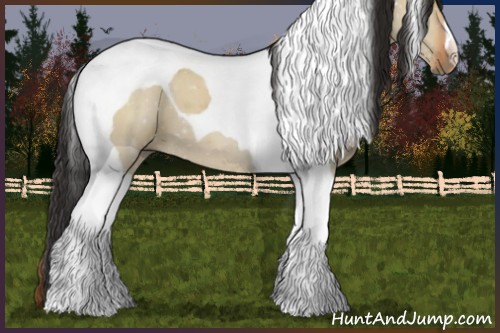 Horse Color:Bay Dun Tobiano 
