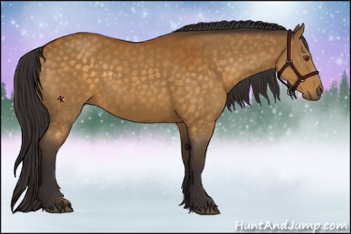 Horse Color:Buckskin Rabicano