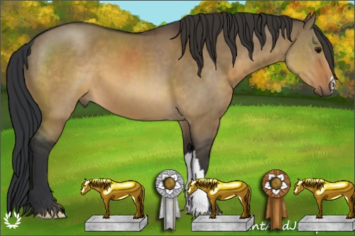 Horse Color:Brown Dun