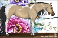Horse Color:Brown Dun Tobiano 