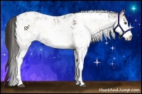 Horse Color:Liver Red Onyx Ice Sabino Appaloosa Rabicano