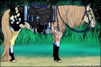 Horse Color:Gold Champagne Onyx Sabino Frame Appaloosa 