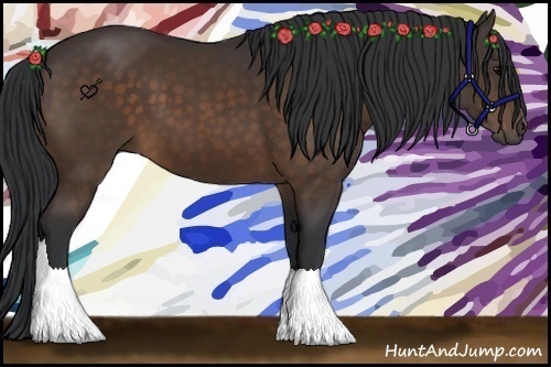 Horse Color:Brown 