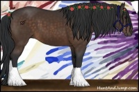 Horse Color:Brown 