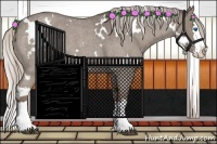 Horse Color:White Spotted Silver Blue Roan Splash 