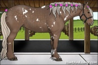 Horse Color:White Spotted Silver Black Sabino 