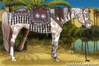 Horse Color:Amber Champagne Near Leopard  and Amber Champagne Dun Near Leopard 