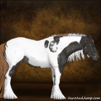 Horse Color:Liver Chestnut Tobiano Snowcap Rabicano 