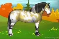 Horse Color:Brown Chinchilla Roan Splash Tobiano