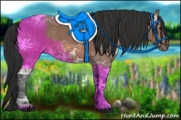 Horse Color:Bay Ice