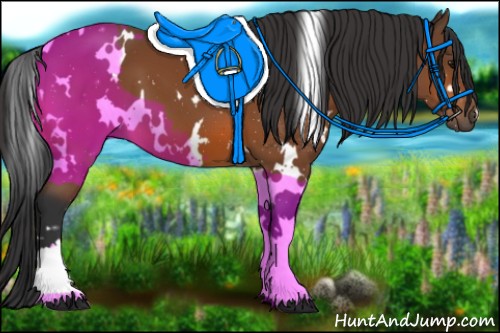 Horse Color:White Spotted Bay 