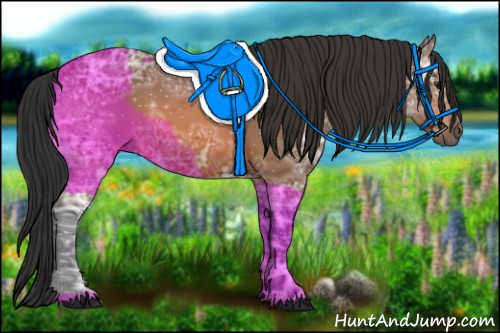 Horse Color:Bay Ice