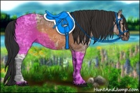 Horse Color:Bay Ice 